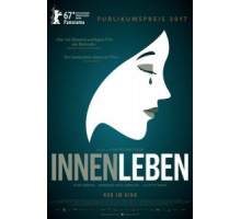 В Сирии (2017)