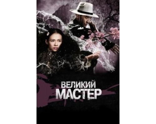 Великий мастер  (фильм 2013) смотреть онлайн