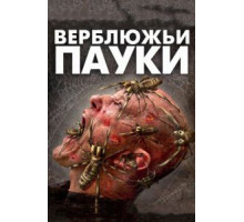 Верблюжьи пауки (2011)