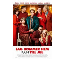 Вернусь домой на Рождество (2019)