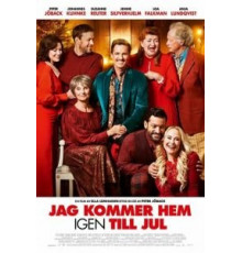 Вернусь домой на Рождество (2019)