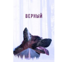 Верный (2016)