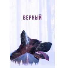 Верный (2016)