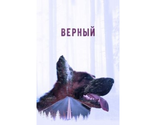 Верный  (фильм 2016) смотреть онлайн