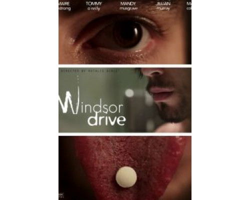 Виндзор Драйв  (фильм 2015) смотреть онлайн
