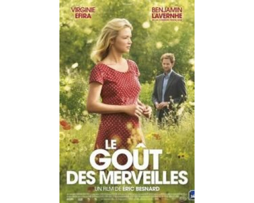 Вкус чудес  (фильм 2015) смотреть онлайн