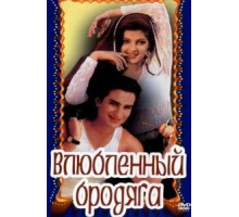 Влюбленный бродяга (1993)