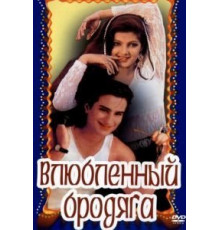 Влюбленный бродяга (1993)