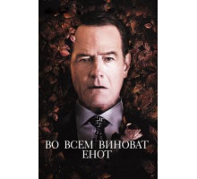 Во всем виноват енот (2016)