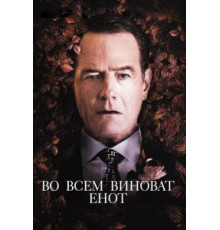 Во всем виноват енот (2016)