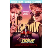 Водительские права (1988)