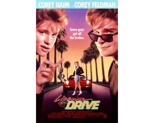 Водительские права  (фильм 1988) смотреть онлайн