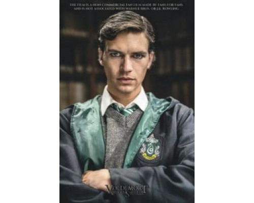 Волан-де-Морт: Корни наследника  (фильм 2018) смотреть онлайн