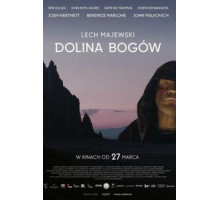 Воображаемая реальность (2019)