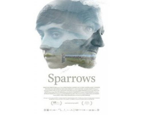 Воробьи  (фильм 2015) смотреть онлайн