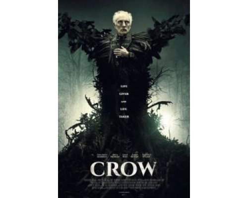 Ворон  (фильм 2016) смотреть онлайн