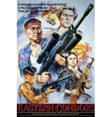Восточные кондоры (1987)