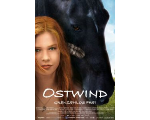 Восточный ветер  (фильм 2013) смотреть онлайн