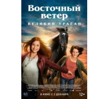 Восточный ветер. Великий ураган (2021)