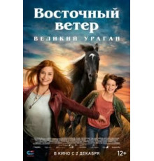 Восточный ветер. Великий ураган (2021)