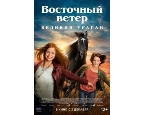 Восточный ветер. Великий ураган  (фильм 2021) смотреть онлайн