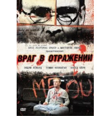 Враг в отражении (2010)