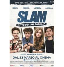 Всё ради девушки (2016)