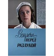 Встреча перед разлукой (1985)