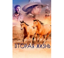 Вторая жизнь (2017)