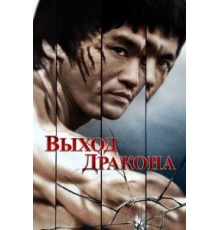Выход Дракона (1973)