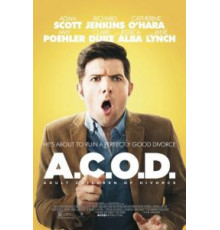 Взрослые дети развода (2013)