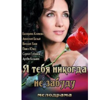 Я тебя никогда не забуду (2013)