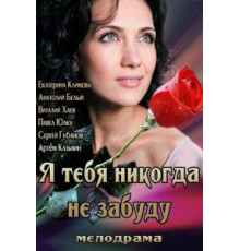 Я тебя никогда не забуду (2013)