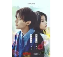 За год до смерти я встретил тебя (2024)