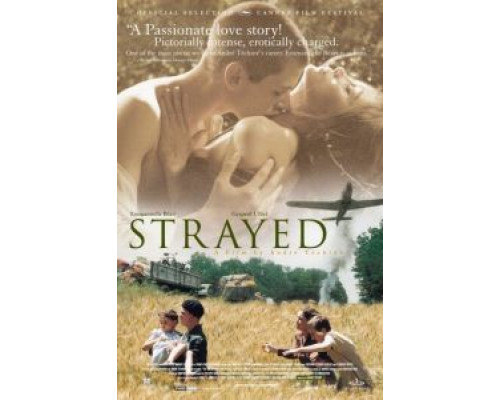 Заблудившиеся  (фильм 2003) смотреть онлайн