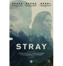 Заблудшие (2018)