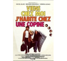 Заходи - я живу у подруги (1980)