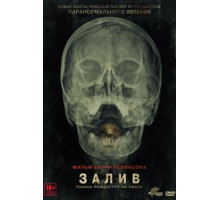 Залив (2012)