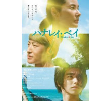 Залив Ханалей (2018)