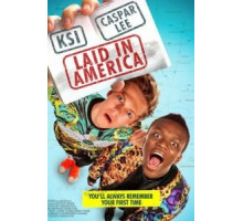 Заложники в Америке (2016)