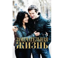 Замечательная жизнь (2011)