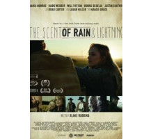 Запах дождя и молнии (2016)