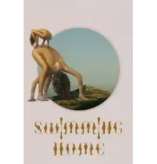 Заплыв домой (2024)