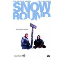 Затерянные в снегах: История Джима и Дженнифер Столпа (1993)