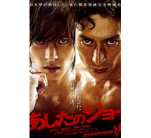 Завтрашний Джо (2011)